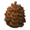 Pom de Pin